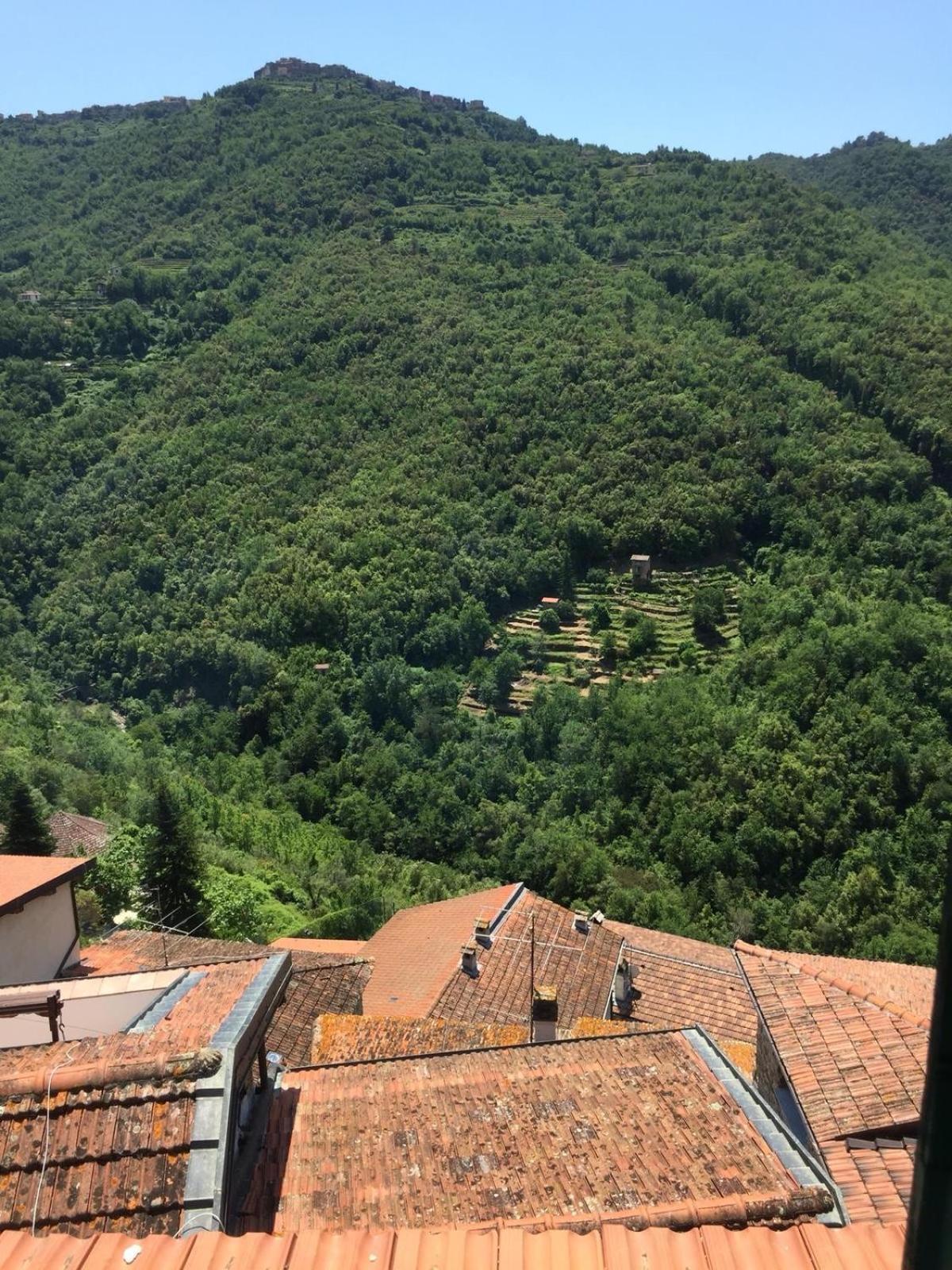 House In The Medieval Village Apricale Exterior foto